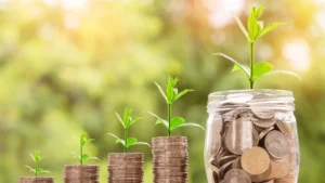 Faça o dinheiro trabalhar por você - Dicas de Renda passiva