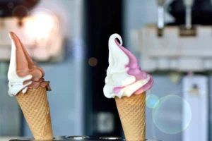 Qual a Melhor Máquina de Sorvete Expresso em 2024? Guia Completo para Escolher a Italianinha Ideal para Seu Negócio