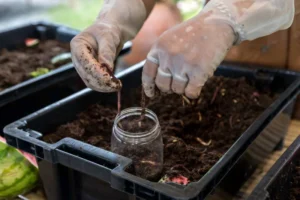 Vermicompostagem: um negócio verde e rentável para o seu futuro